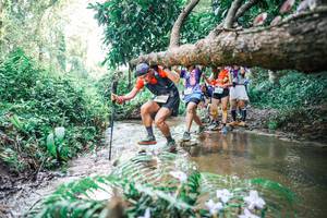 BIB: 
                            <button type="button" onclick="openModal(25474618)" class="btn btn-primary btn-sm float-right btn-popup" data-toggle="modal" data-target=".modal-high-quality">
                        <i class="fas fa-shopping-cart"></i> Add to Cart
                    </button>
                                            <button type="button" onclick="isThisMe(25474618, true)" class="btn btn-success btn-sm float-right btn-popup btn-isme hidden" data-toggle="tooltip" data-placement="bottom" title="นี่คือรูปของคุณใช่ไหม คลิกที่นี่เพื่อเอาเข้าอัลบั้ม">
                        <i class="fas fa-plus"></i> Add to album
                    </button>
                    <button type="button" onclick="isThisMe(25474618, false)" class="btn btn-warning btn-sm float-right btn-popup btn-isnotme hidden">
                        <i class="fas fa-ban"></i> Remove from album
                    </button>